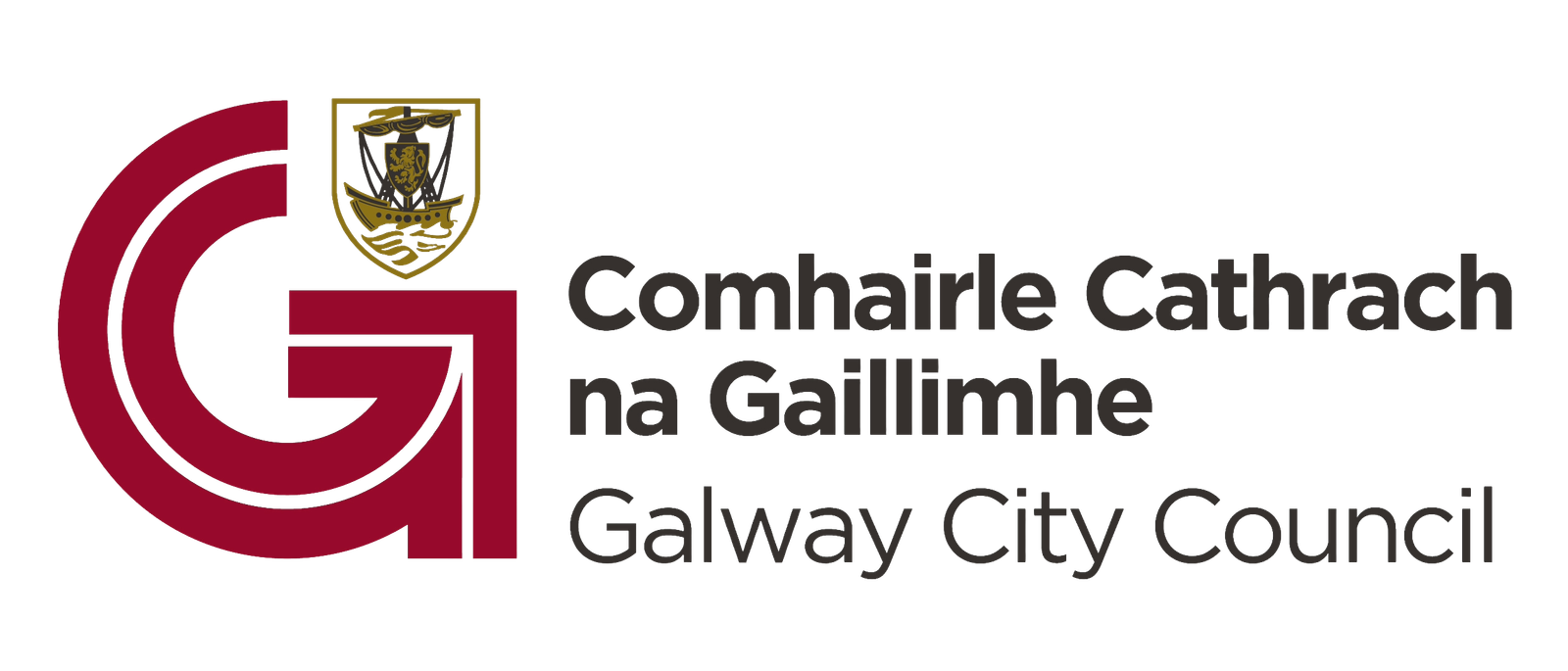 Galway City Council